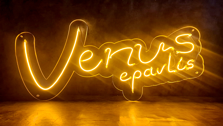 NEON & LED Neon Flex Signs